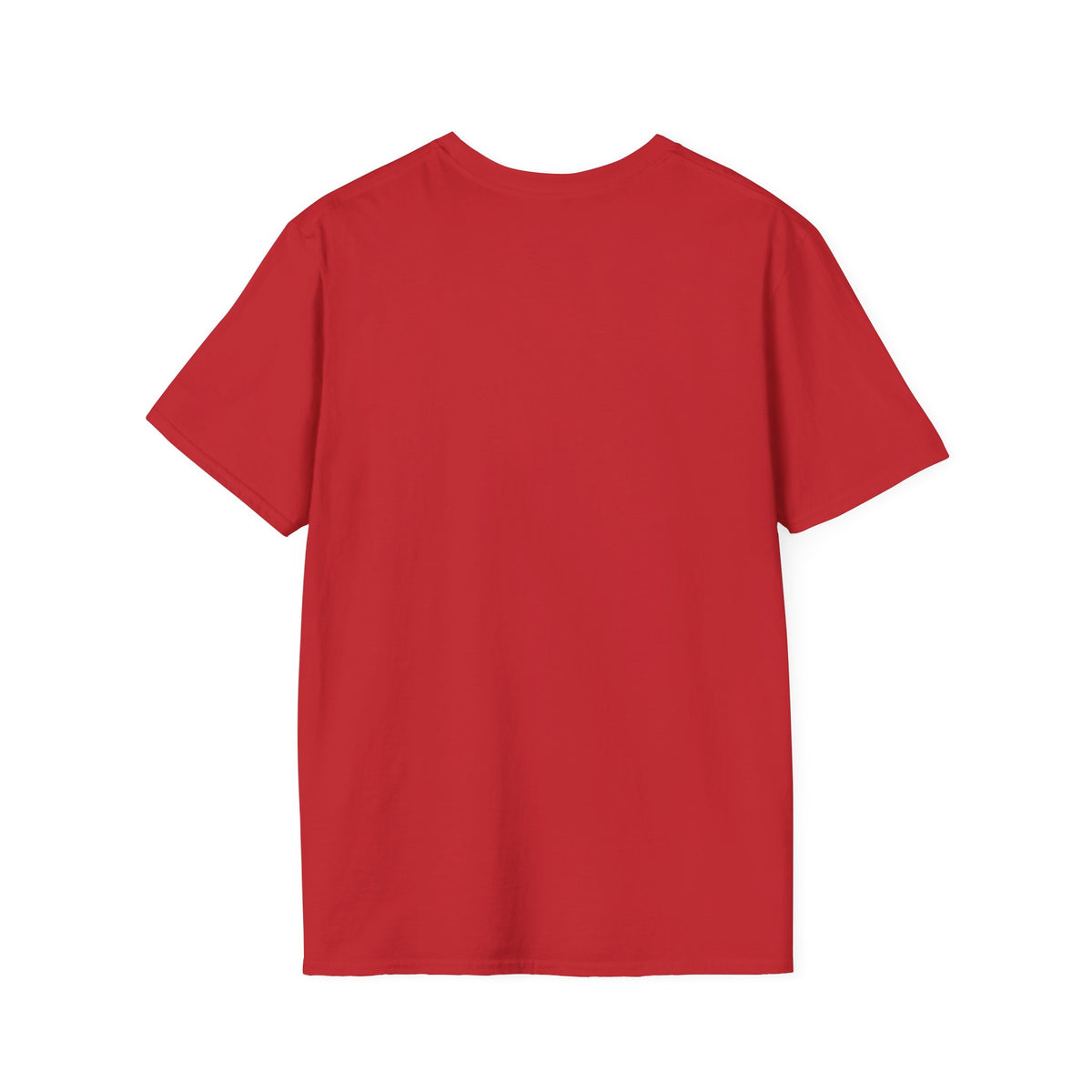 VOY EN BUSCA DE LA piquiña T-Shirt