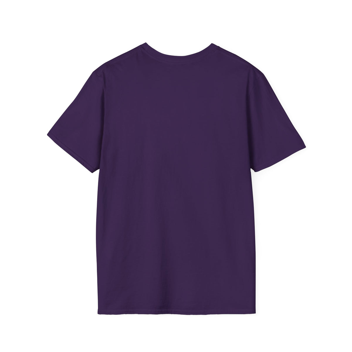 VOY EN BUSCA DE LA piquiña T-Shirt